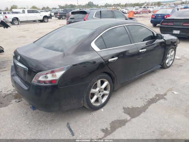 Nissan Maxima Image 4