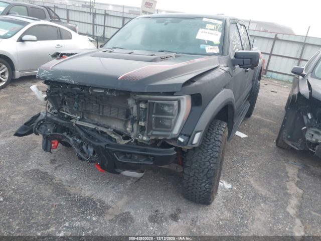 Ford F-150 Raptor Image 3