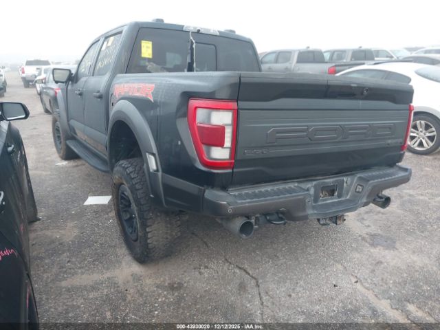 Ford F-150 Raptor Image 15