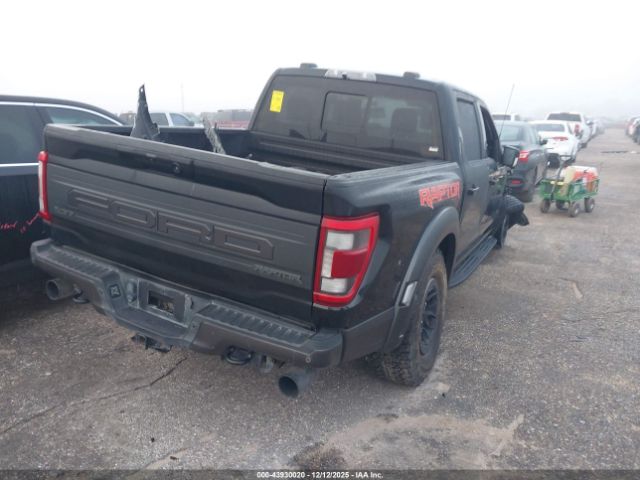 Ford F-150 Raptor Image 2