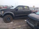 Ford F-150 Raptor Image 14