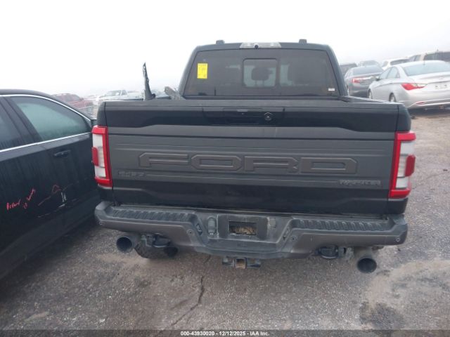Ford F-150 Raptor Image 13