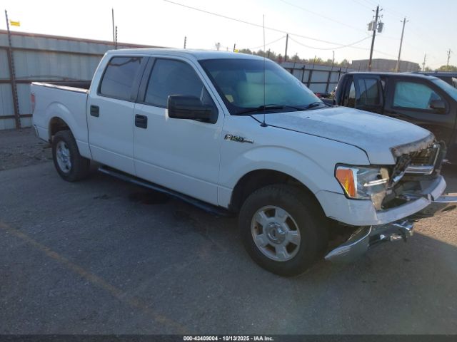 Ford F-150 Xlt Image 1