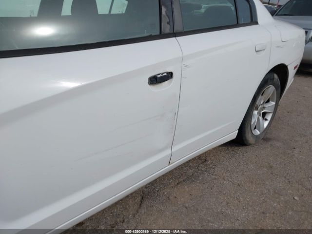 Dodge Charger Image 2