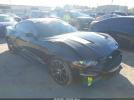 Ford Mustang Ecoboost Fastback Image 1