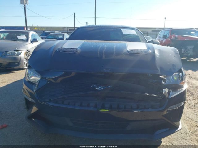 Ford Mustang Ecoboost Fastback Image 5
