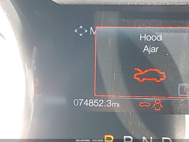 Ford Mustang Ecoboost Fastback Image 6