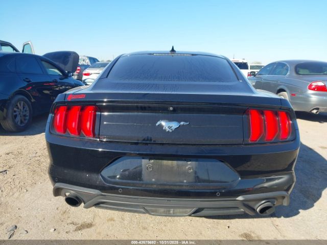 Ford Mustang Ecoboost Fastback Image 2