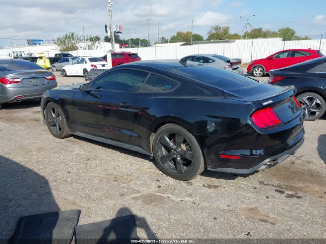 Ford Mustang Ecoboost Fastback Image 2