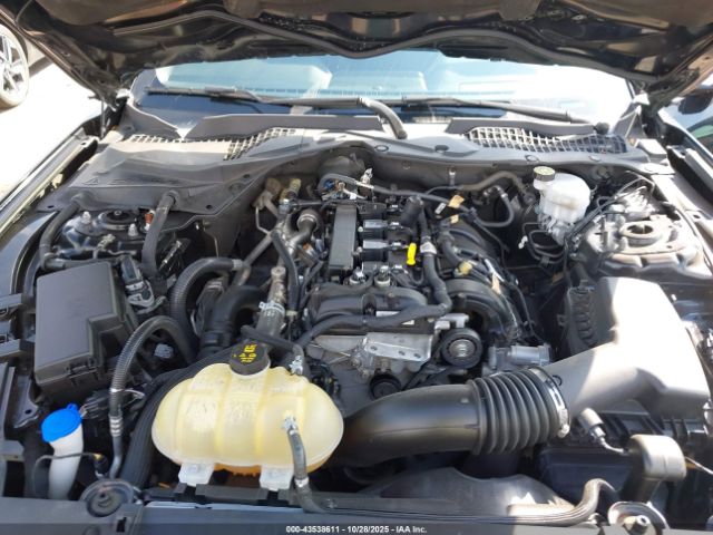 Ford Mustang Ecoboost Fastback Image 14