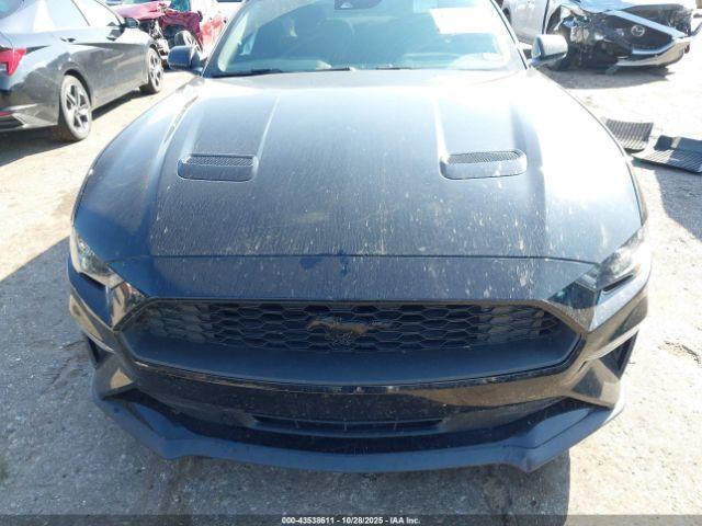 Ford Mustang Ecoboost Fastback Image 4