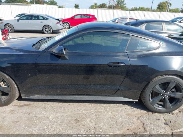 Ford Mustang Ecoboost Fastback Image 8