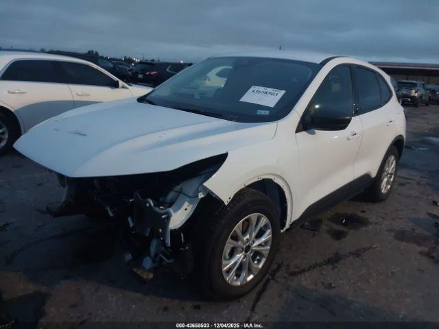 Ford Escape Active Image 5