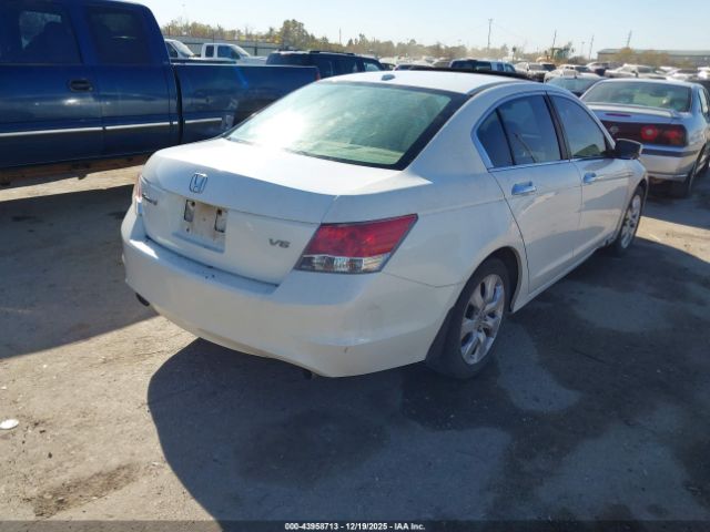 Honda Accord 3.5 Ex-l Image 8