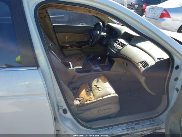 Honda Accord 3.5 Ex-l Image 11