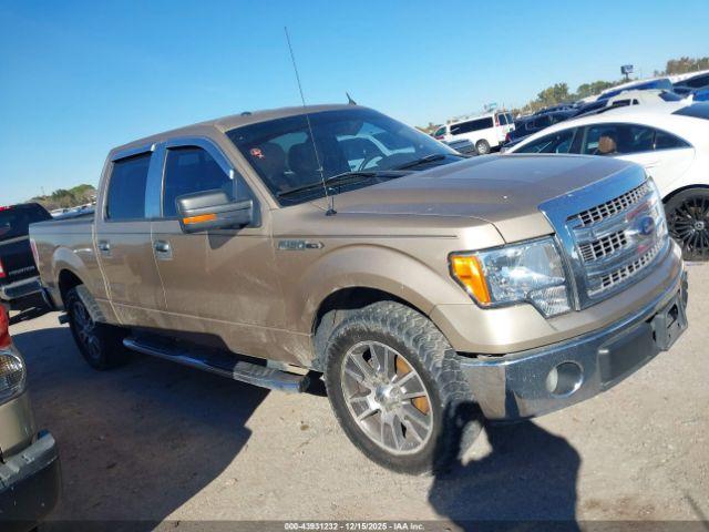 Ford F-150 Xlt Image 3