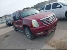 Cadillac Escalade Standard Image 1