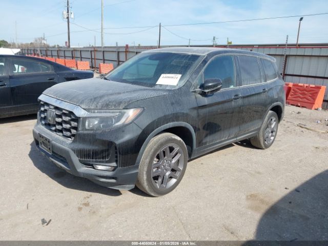 Honda Passport Awd Ex-l Image 2