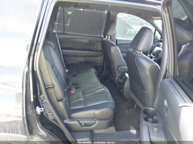 Honda Passport Awd Trailsport Image 6