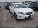 Lexus RX Image 1
