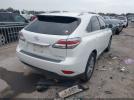 Lexus RX Image 9
