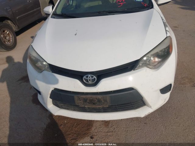 Toyota Corolla Le Image 14