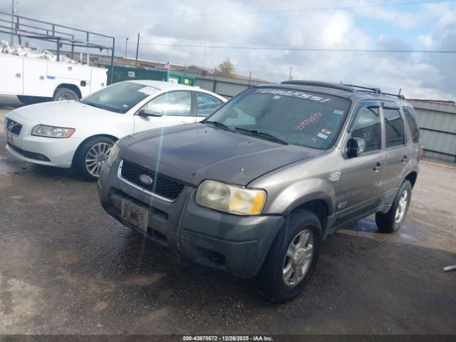 Ford Escape Xlt Image 11