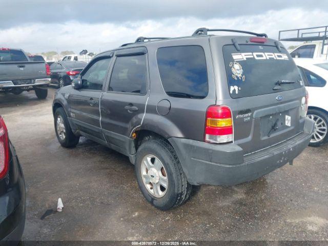 Ford Escape Xlt Image 3