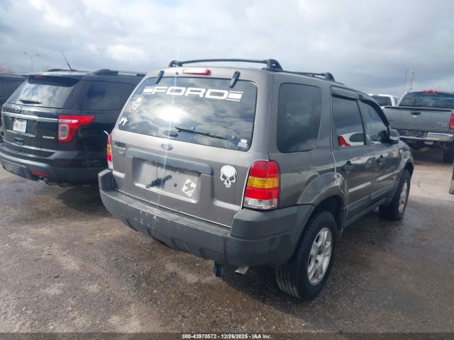 Ford Escape Xlt Image 5