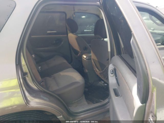 Ford Escape Xlt Image 8