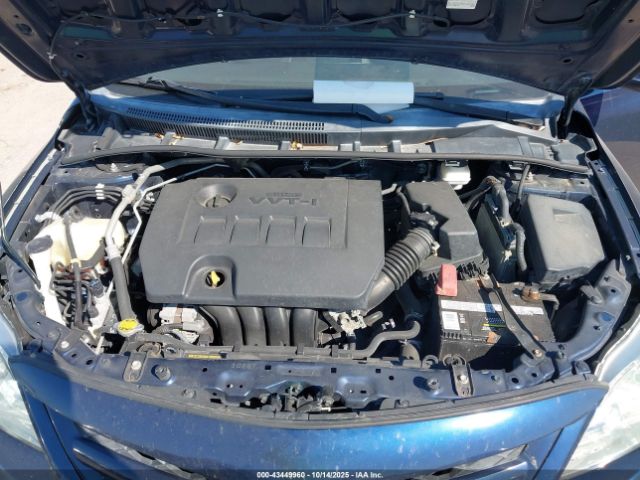 Toyota Corolla S Image 6