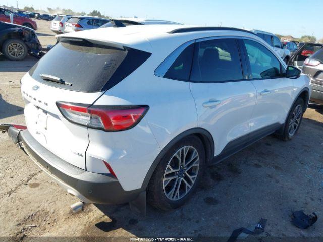 Ford Escape Sel Image 7