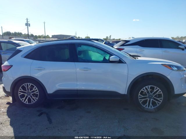 Ford Escape Sel Image 4