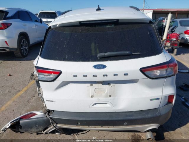 Ford Escape Sel Image 2
