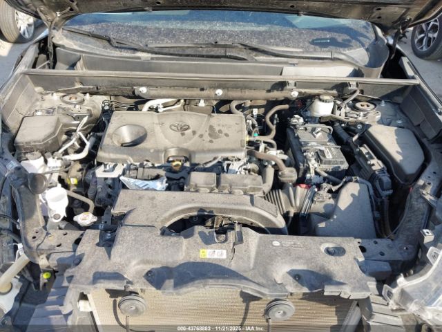 Toyota RAV4 Xle Image 7