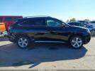 Lexus RX Image 12