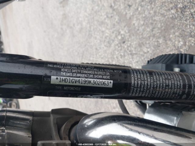 Harley-Davidson Fxdc Image 10