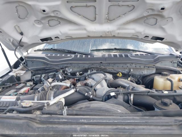 Ford F-250 Platinum Image 2