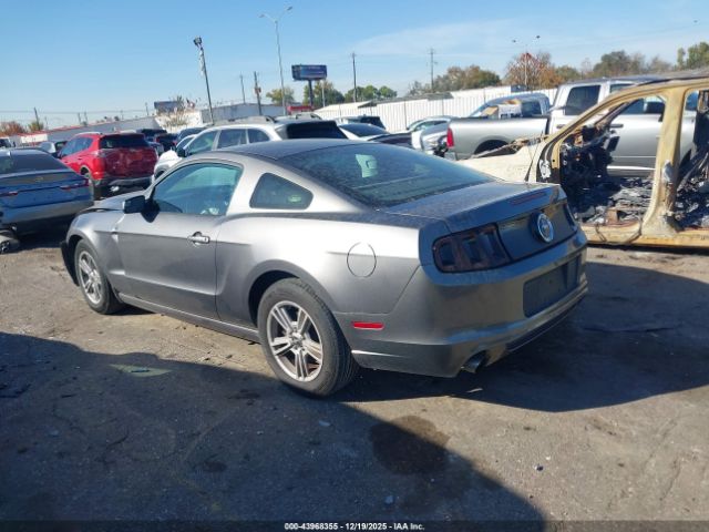 Ford Mustang V6 Image 6