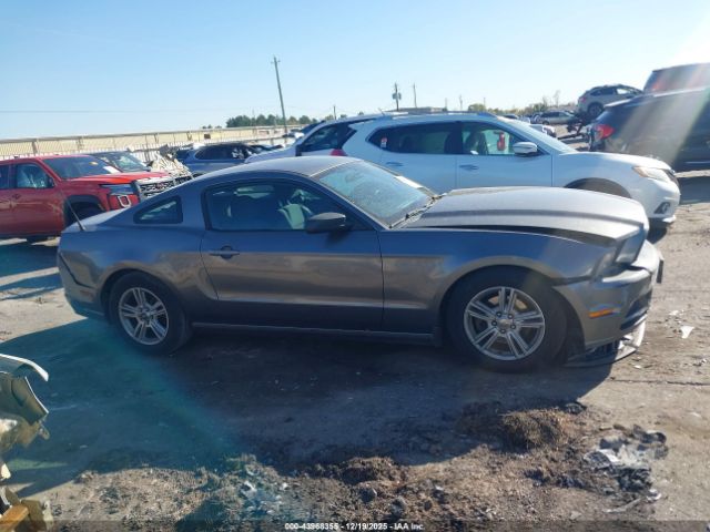Ford Mustang V6 Image 13