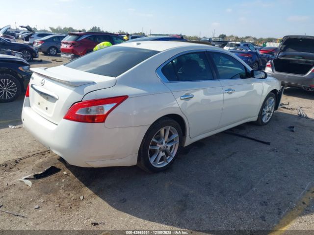 Nissan Maxima 3.5 Sv Image 5