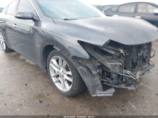 Nissan Maxima 3.5 Sv Image 2